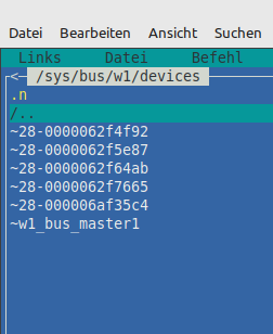 sys_bus_w1_device.png
